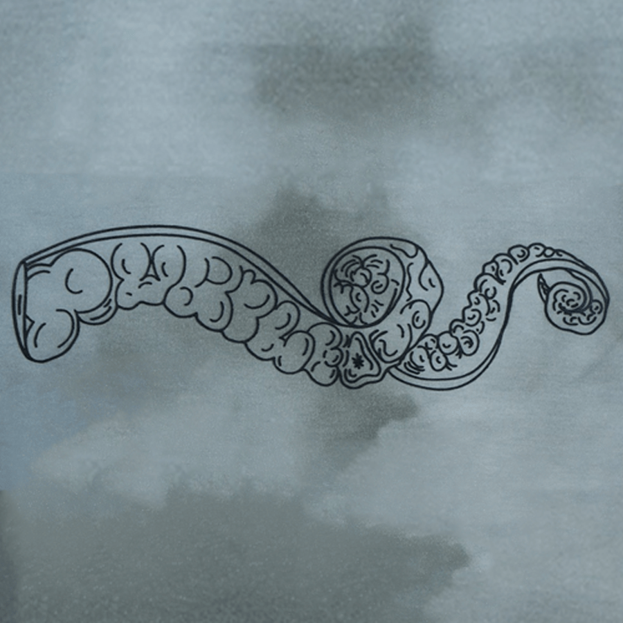 T-SHIRT TENTACLE SMOKE - Image 3