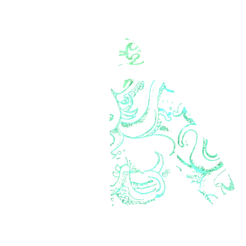 Full Zip glow in the dark